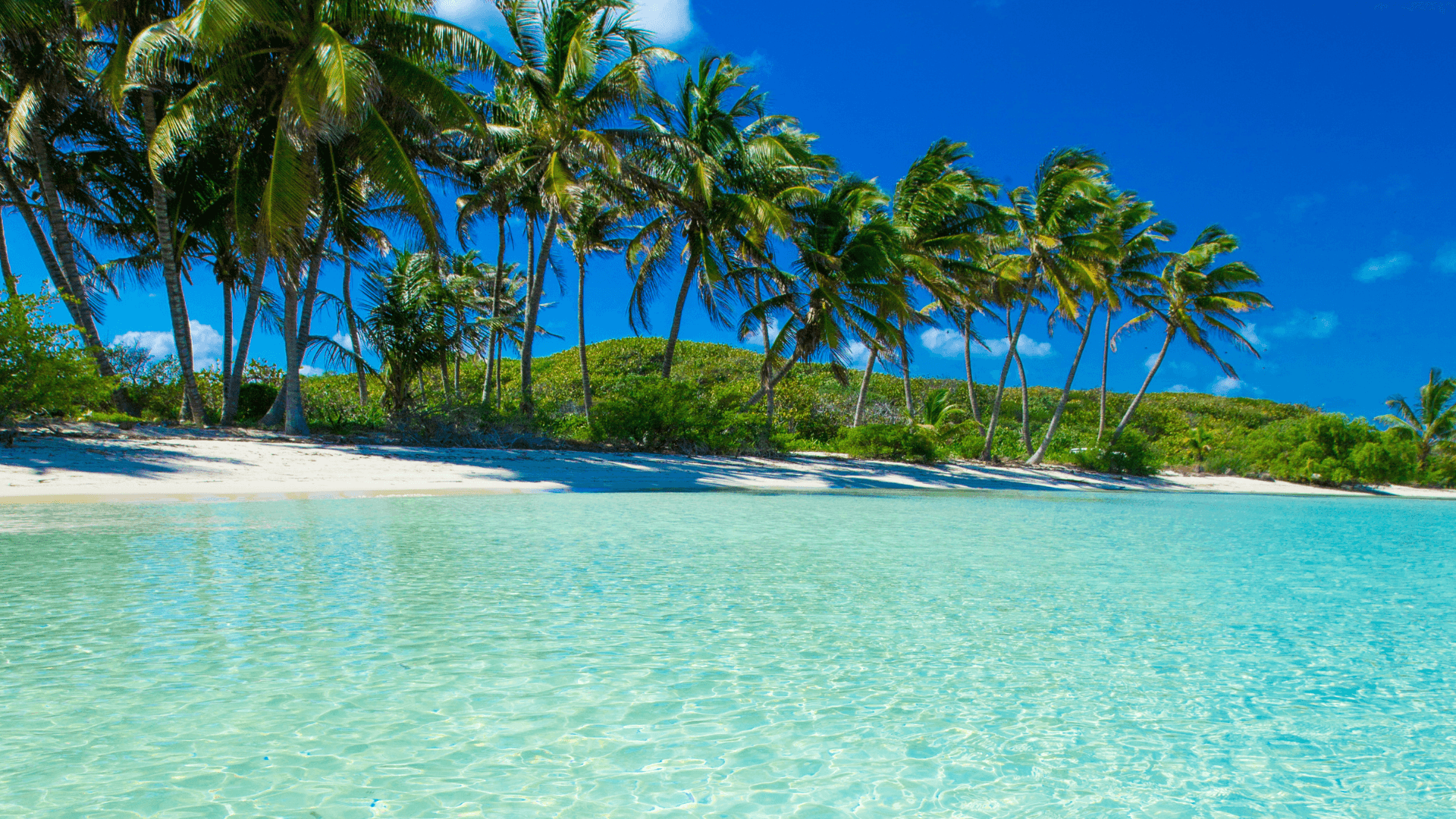 Property in Sindhudurg